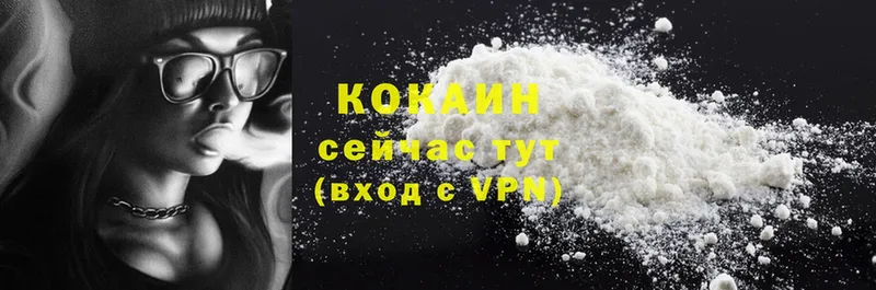 COCAIN FishScale  купить   Гатчина 